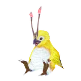 Rag Rappy